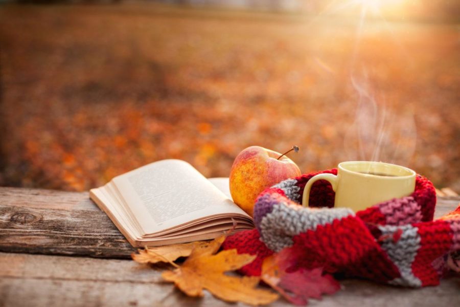 YA+Fall+Book+Recommendations