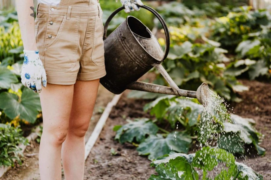 woman-watering-garden-example-of-slow-living-scaled