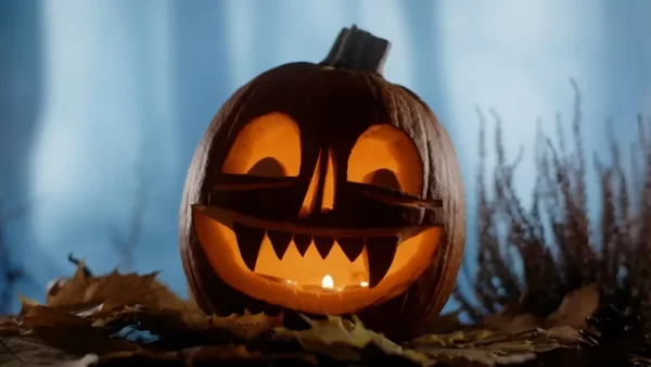 Navigation to Story: 5 Fun Costume Ideas for Halloween